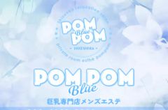 ポムポムblue 相模大野ルーム