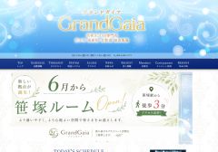 グランドガイア Grand Gaia 新宿エリア