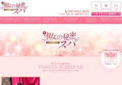 淑女の秘密スパ 市ヶ谷ルーム