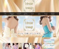 LUXEセレスティンアロマージュ 登戸