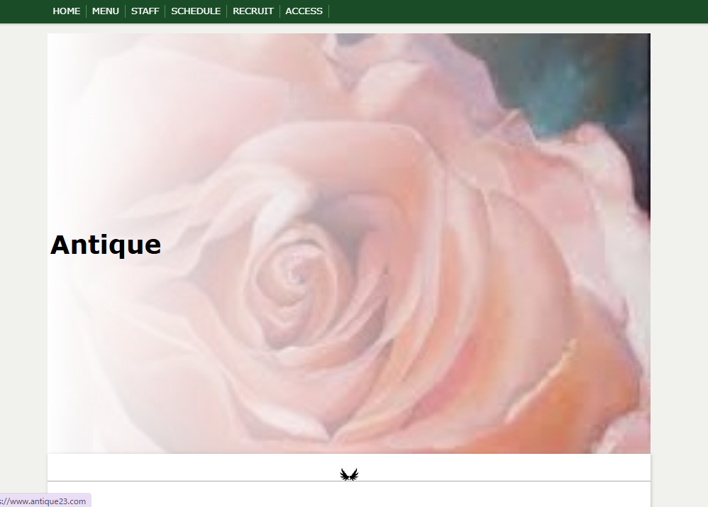 Antique（アンティーク）篠崎店