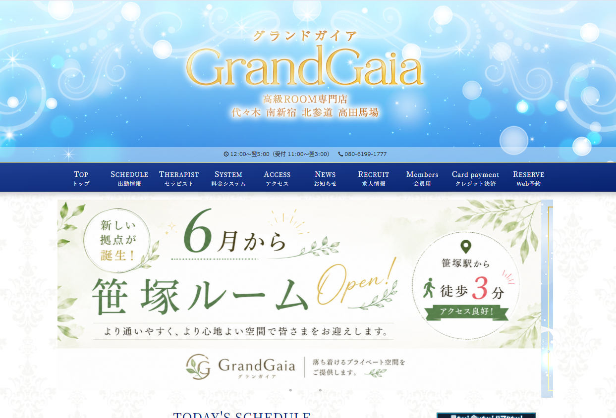 グランドガイア Grand Gaia 高田馬場エリア